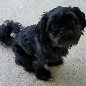 Meet your Posher, Dianne